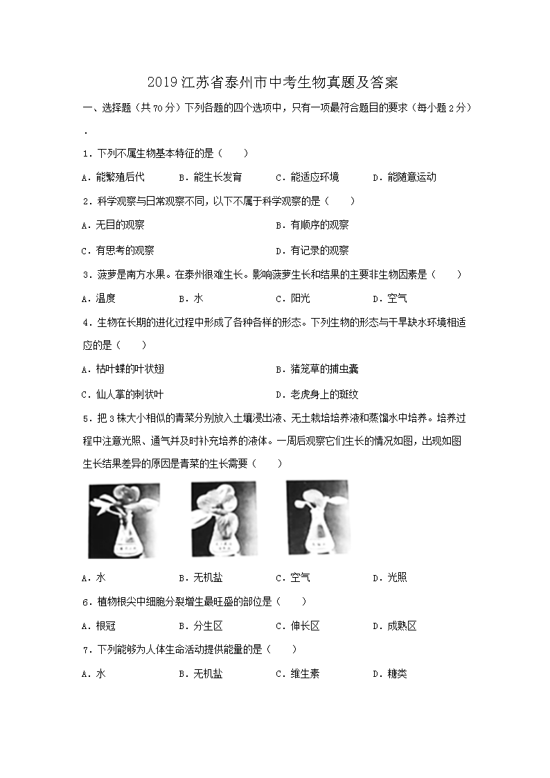 2019����ʡ̩�����п��������⼰��