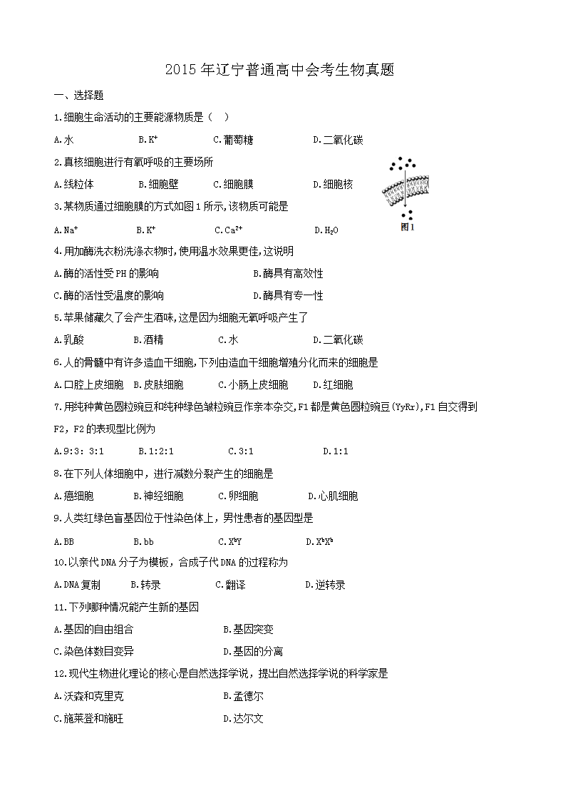 2015��������ͨ���лῼ��������