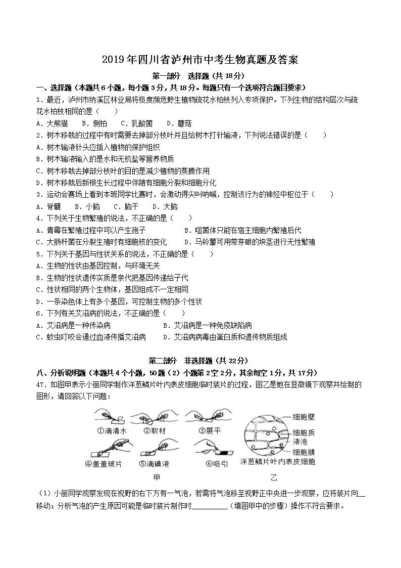 2019���Ĵ�ʡ�������п��������⼰��