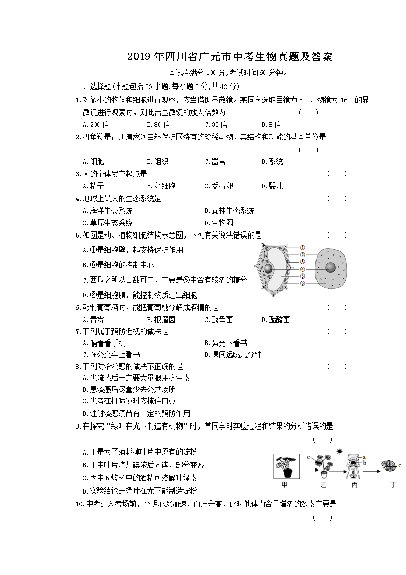 2019���Ĵ�ʡ��Ԫ���п��������⼰��