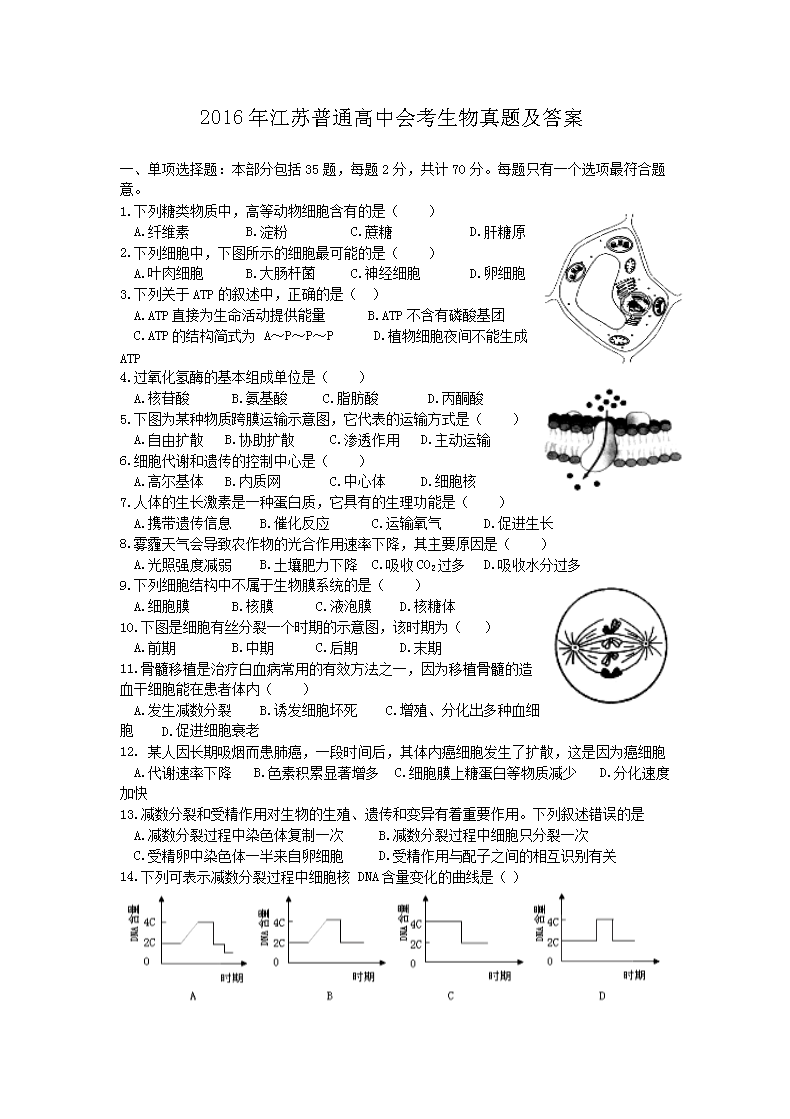 2016꽭ͨлῼ⼰