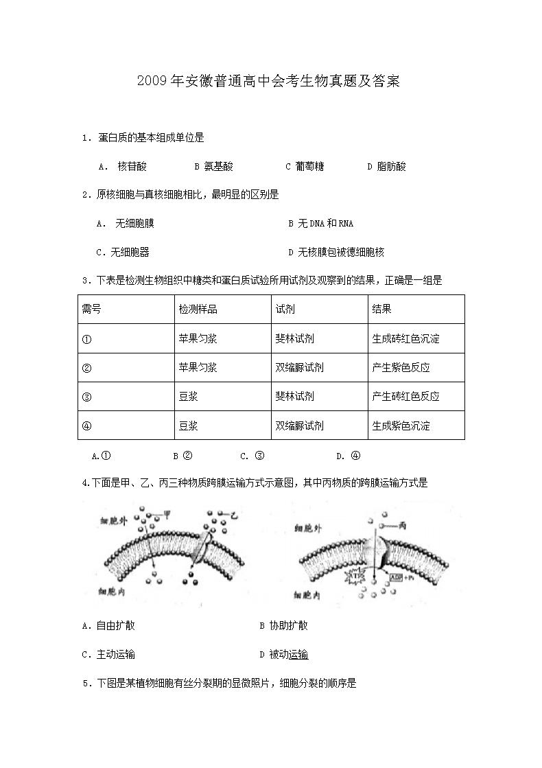 2009갲ͨлῼ⼰