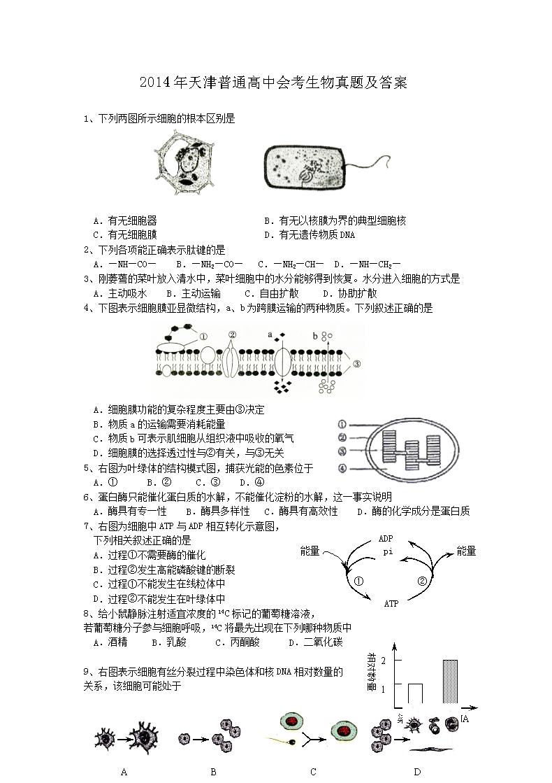 2014年天津普通高中会考生物真题及答案