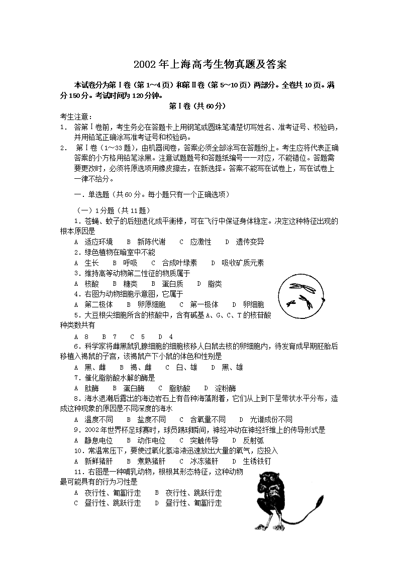 2002���Ϻ��߿��������}����