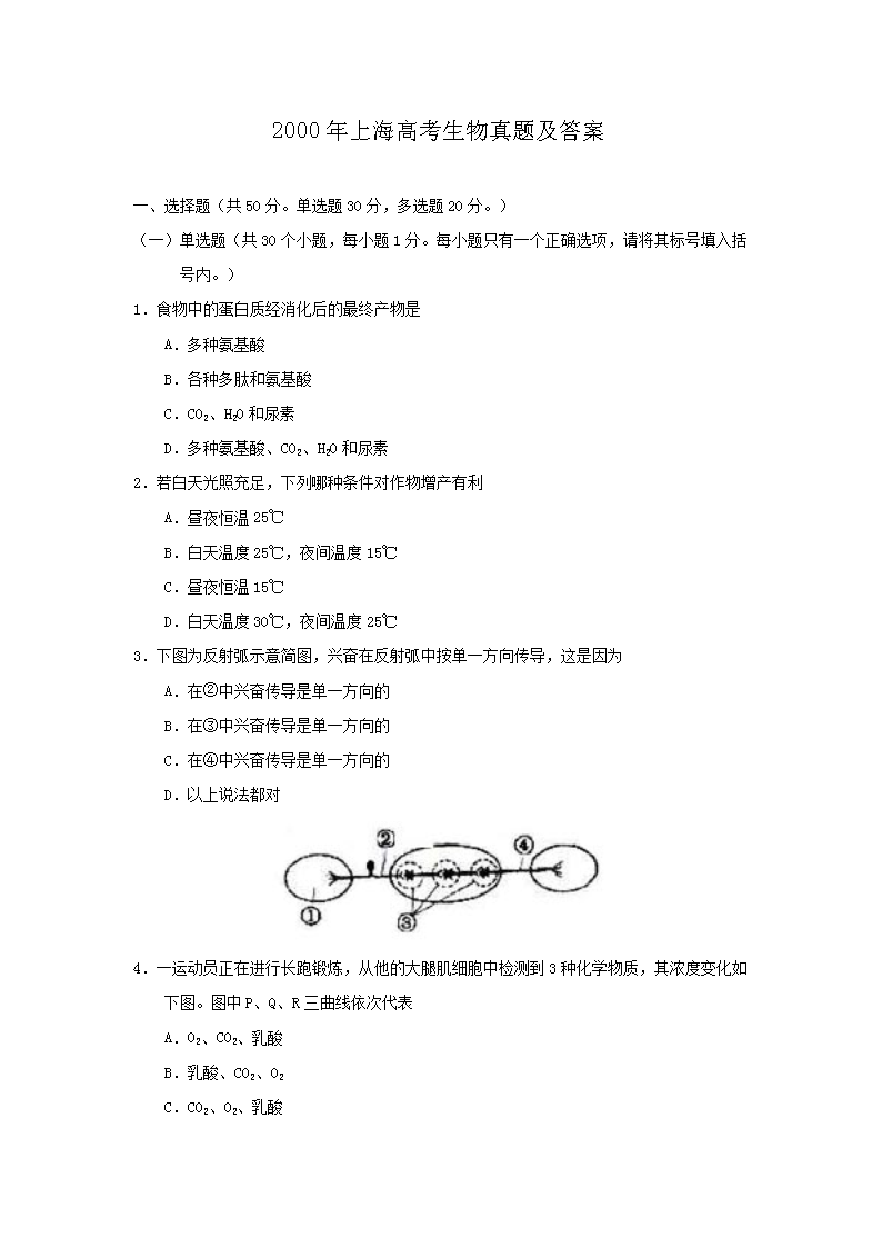 2000���Ϻ��߿��������}����