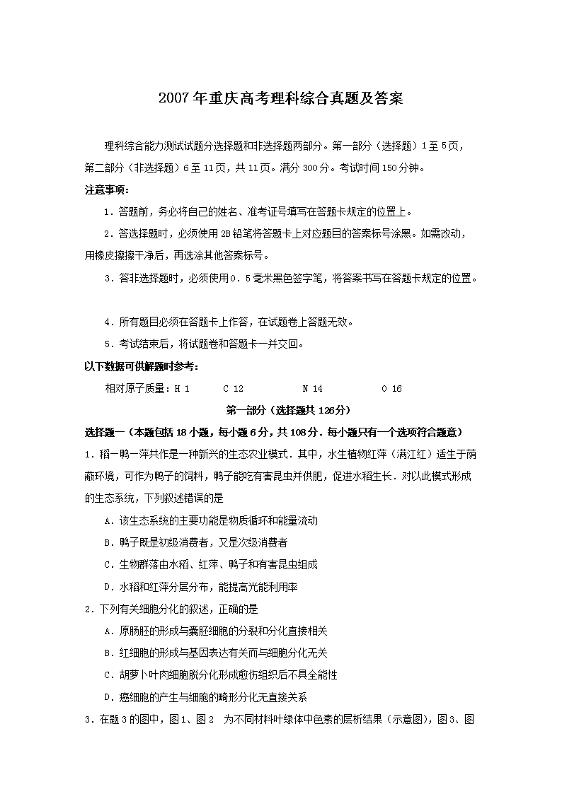 2007������߿������ۺ����⼰��