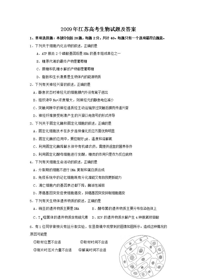 2009�꽭�K�߿�����ԇ�}����