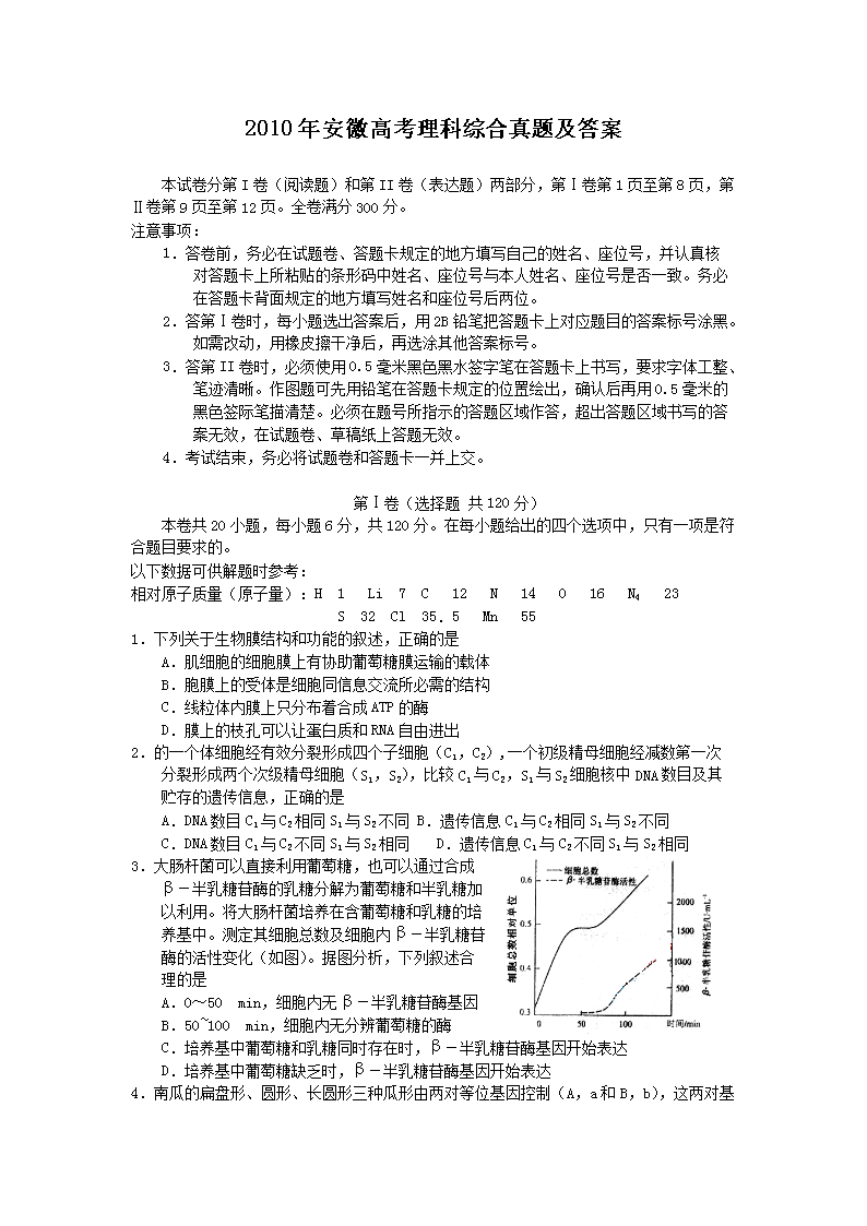 2010�갲�ո߿������ۺ����⼰��