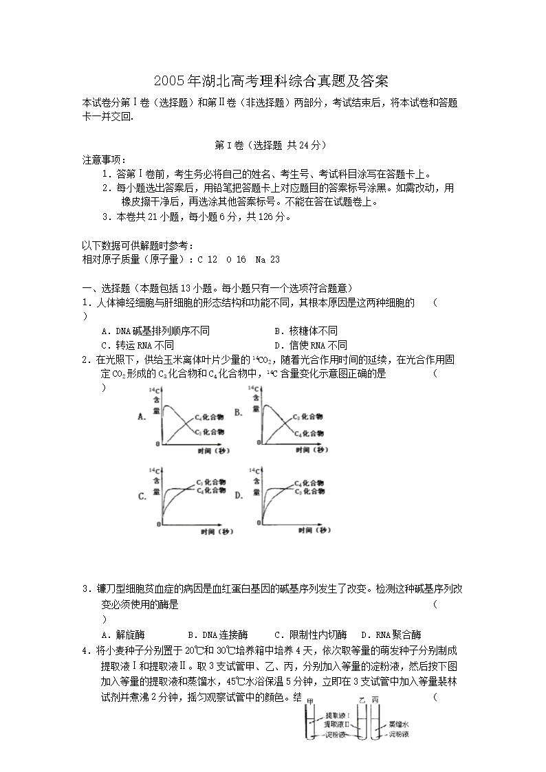 2005������߿������ۺ����⼰��