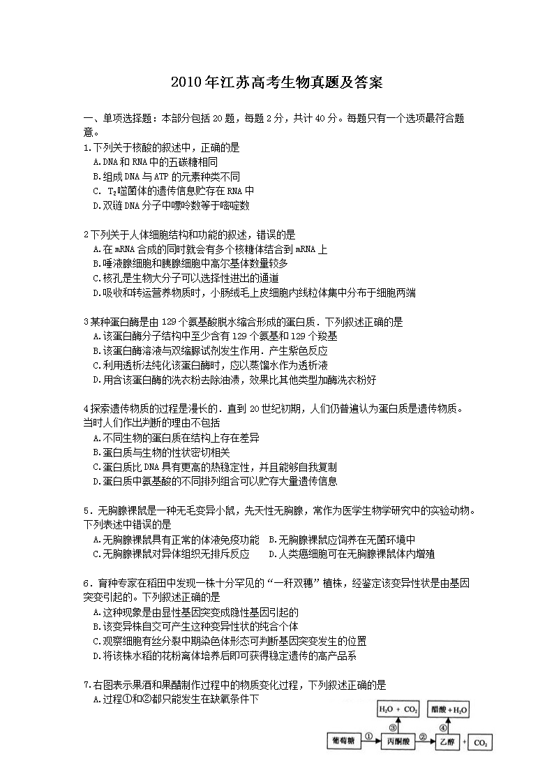 2010�꽭�K�߿��������}����