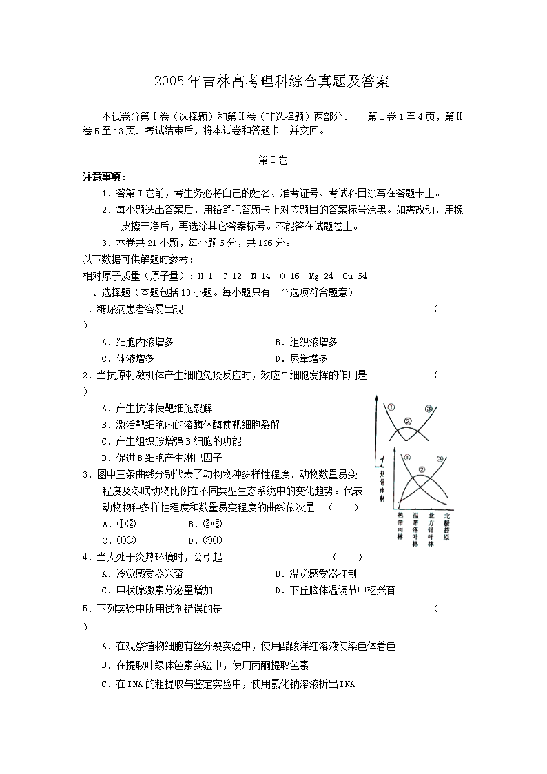 2005�꼪�ָ߿������ۺ����⼰��