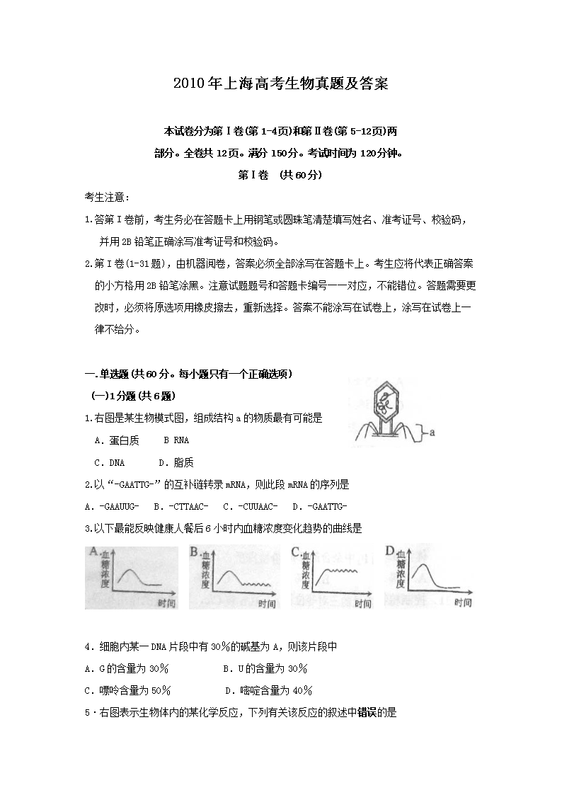 2010���Ϻ��߿��������}����