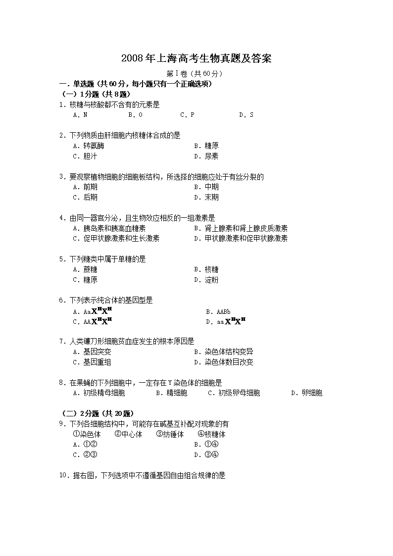 2008���Ϻ��߿��������}����