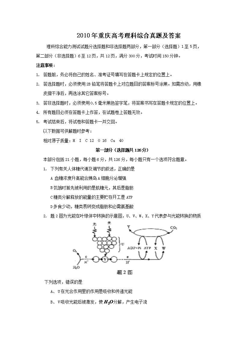 2010������߿������ۺ����⼰��