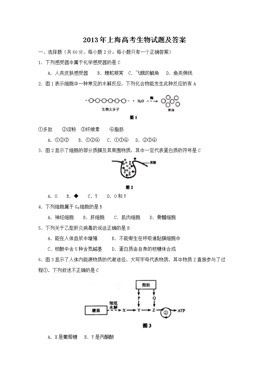 2013���Ϻ��߿�����ԇ�}����