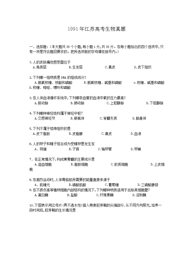 1991�꽭�K�߿��������}