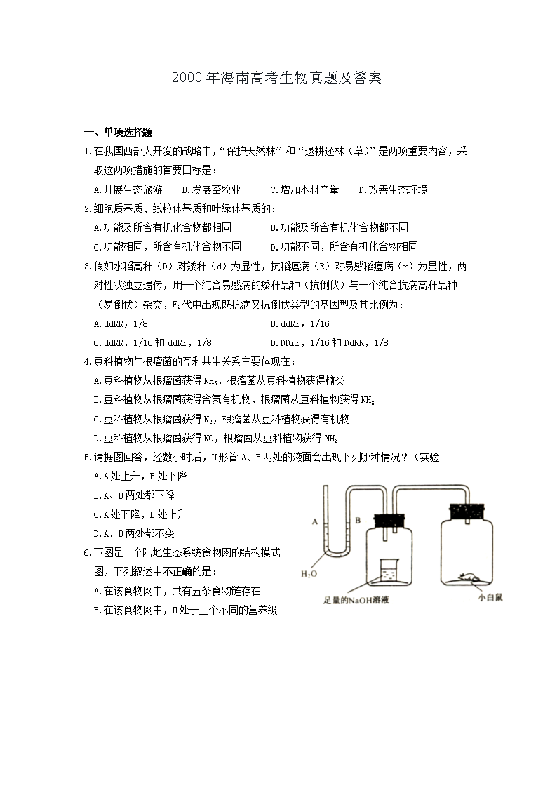 2000�꺣�ϸ߿��������}����