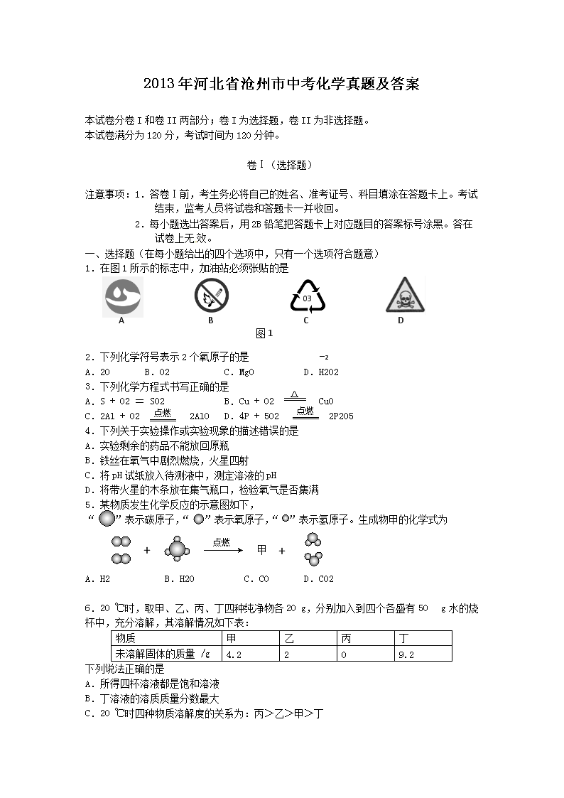 2013年河北省沧州市中考化学真题及答案