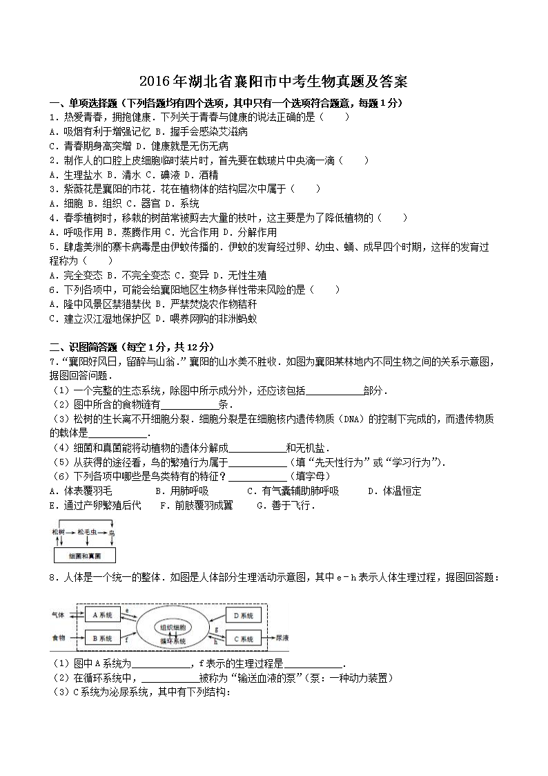 2016�����ʡ�������п��������⼰��