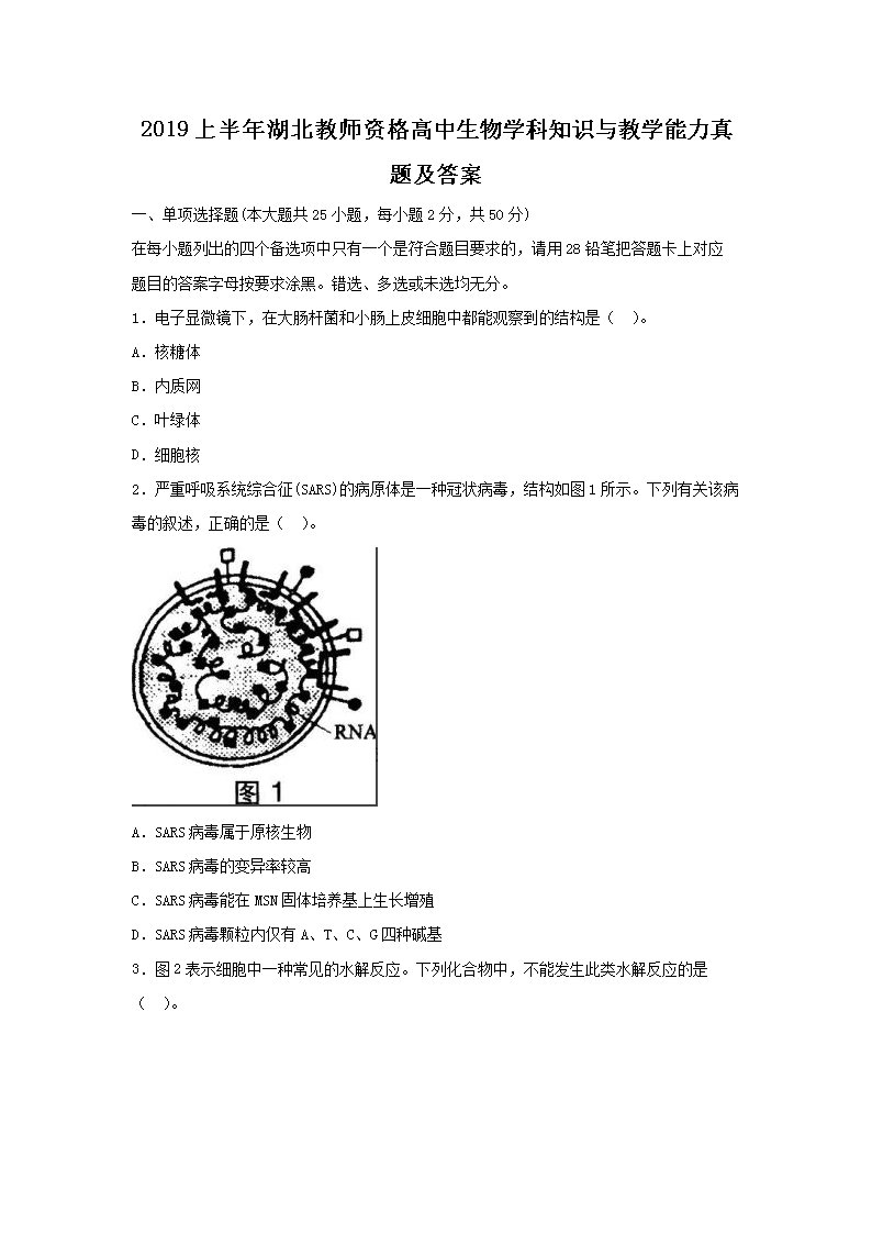 2019ϰʦʸѧ֪ʶѧ⼰