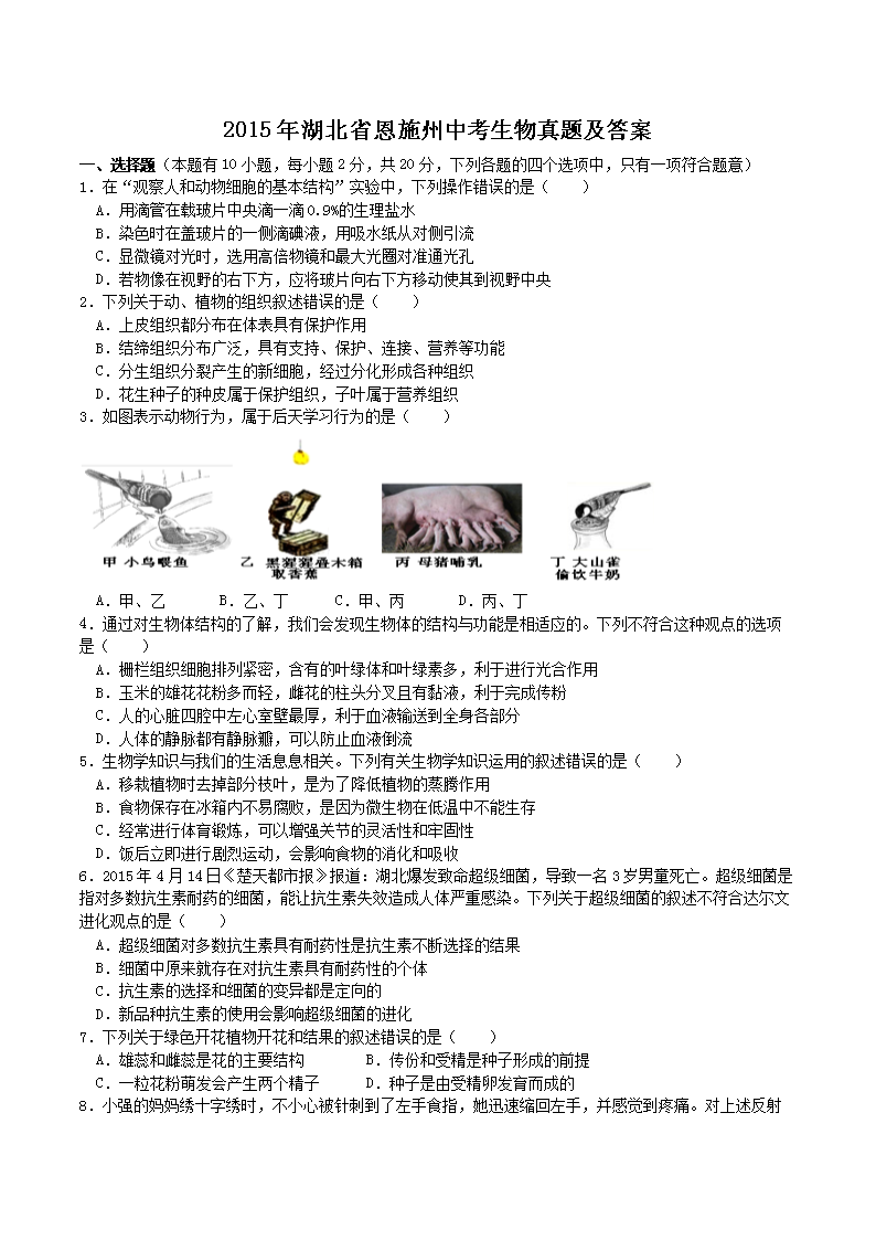 2015ʡʩп}