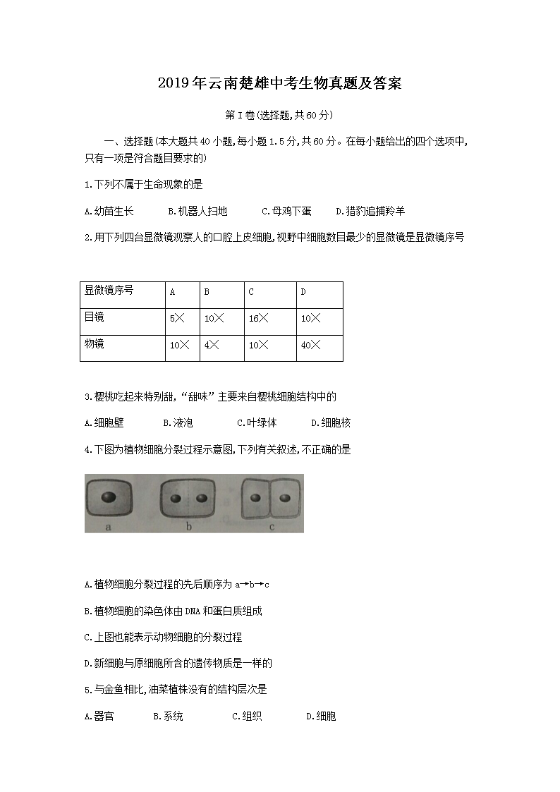 2019�����ϳ����п��������⼰��