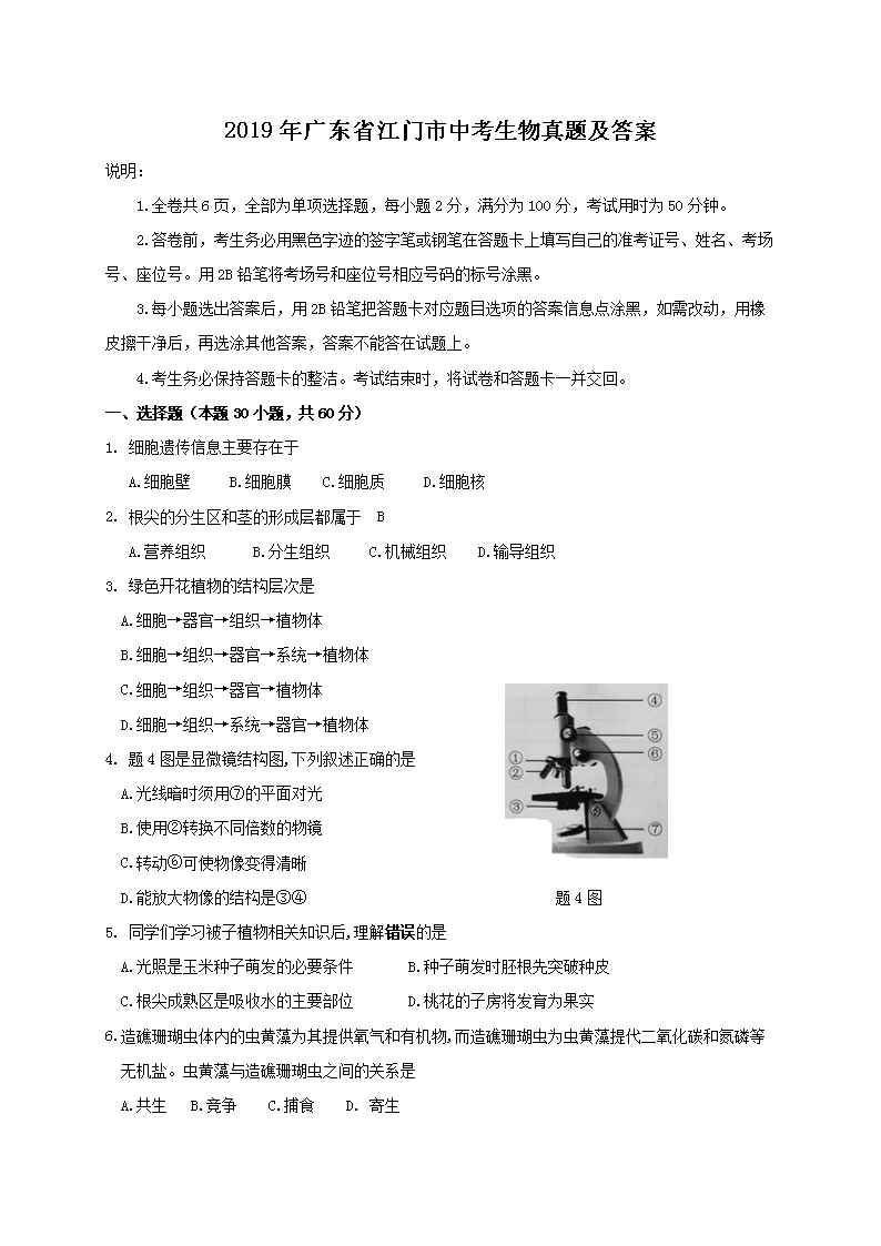 2019��㶫ʡ�������п��������⼰��