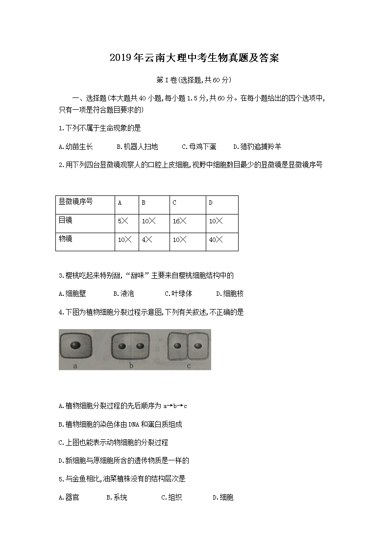 2019�����ϴ����п��������⼰��