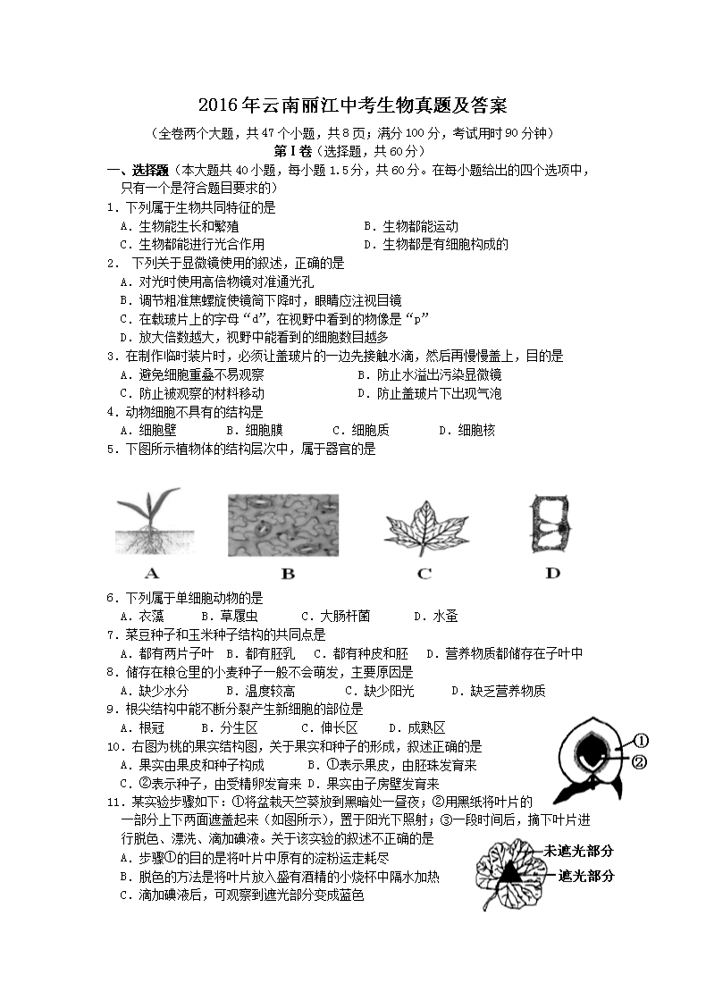 2016�����������п��������⼰��