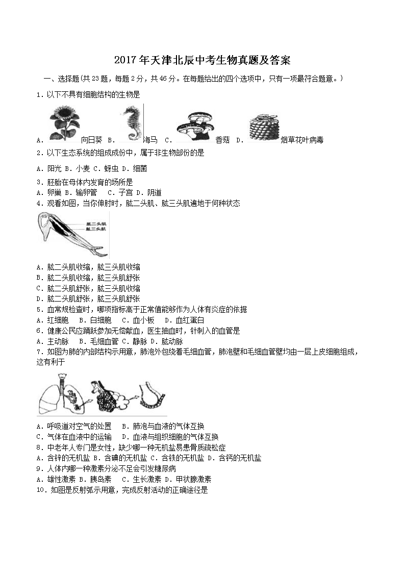 2017����򱱳��п��������⼰��