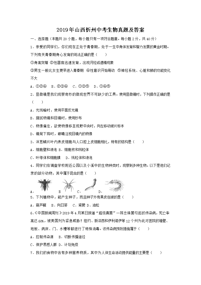 2019��ɽ�������п��������⼰��