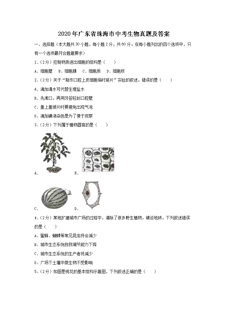 2020��㶫ʡ�麣���п��������⼰��