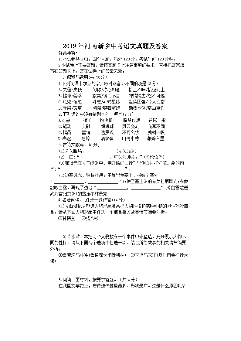 2019l(xing)пZ}