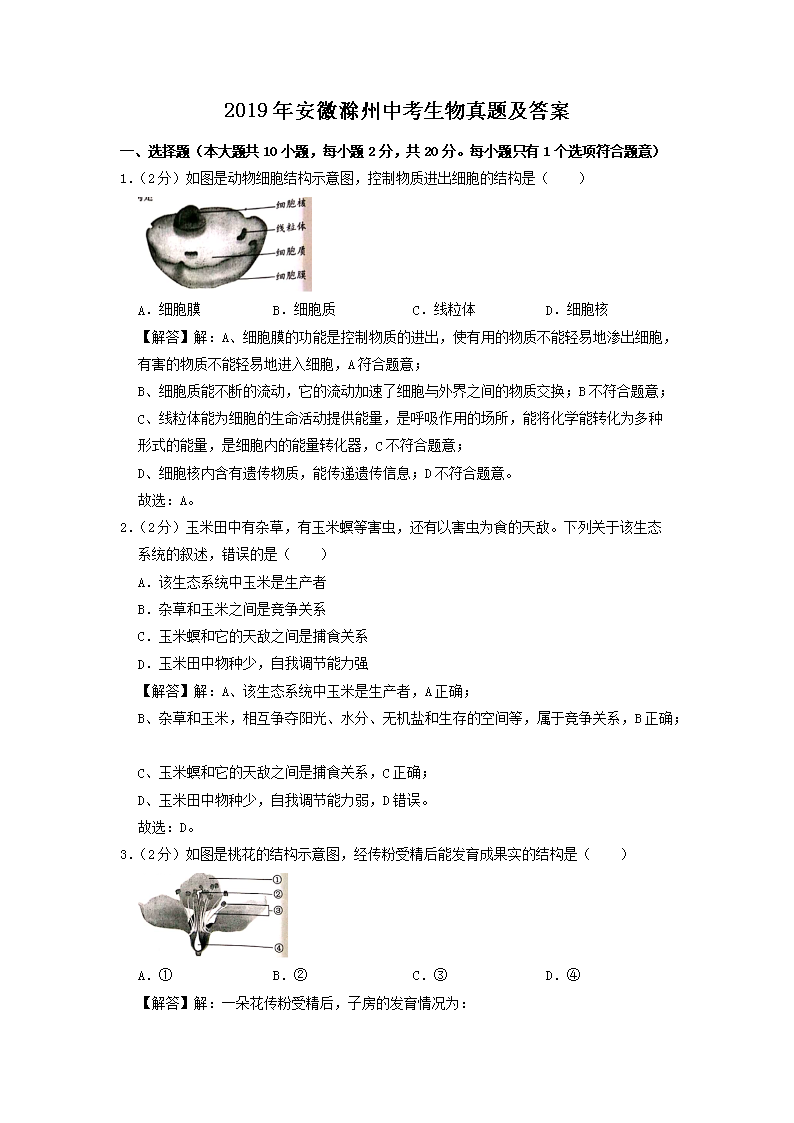 2019�갲�ճ����п��������⼰��