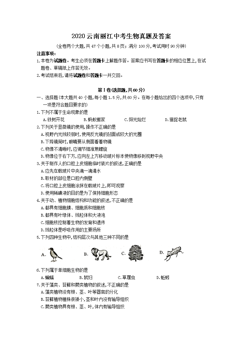 2020���������п��������⼰��