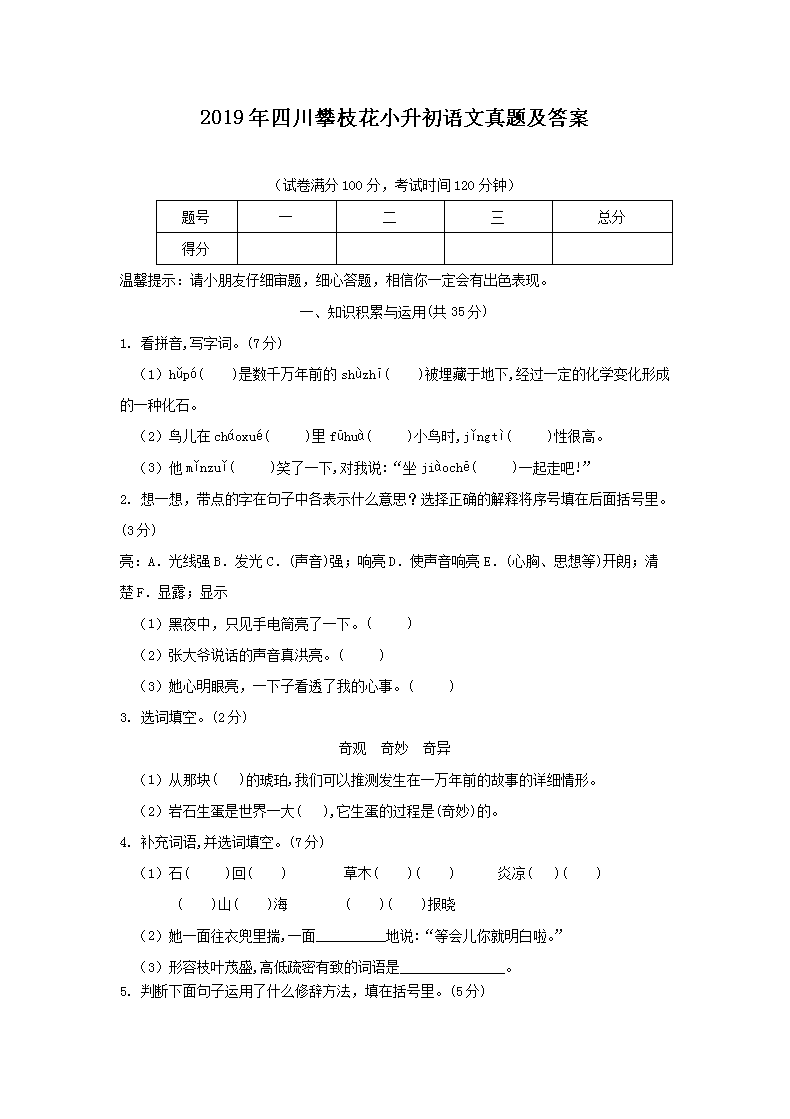 2019���Ĵ���֦��С�����������⼰��