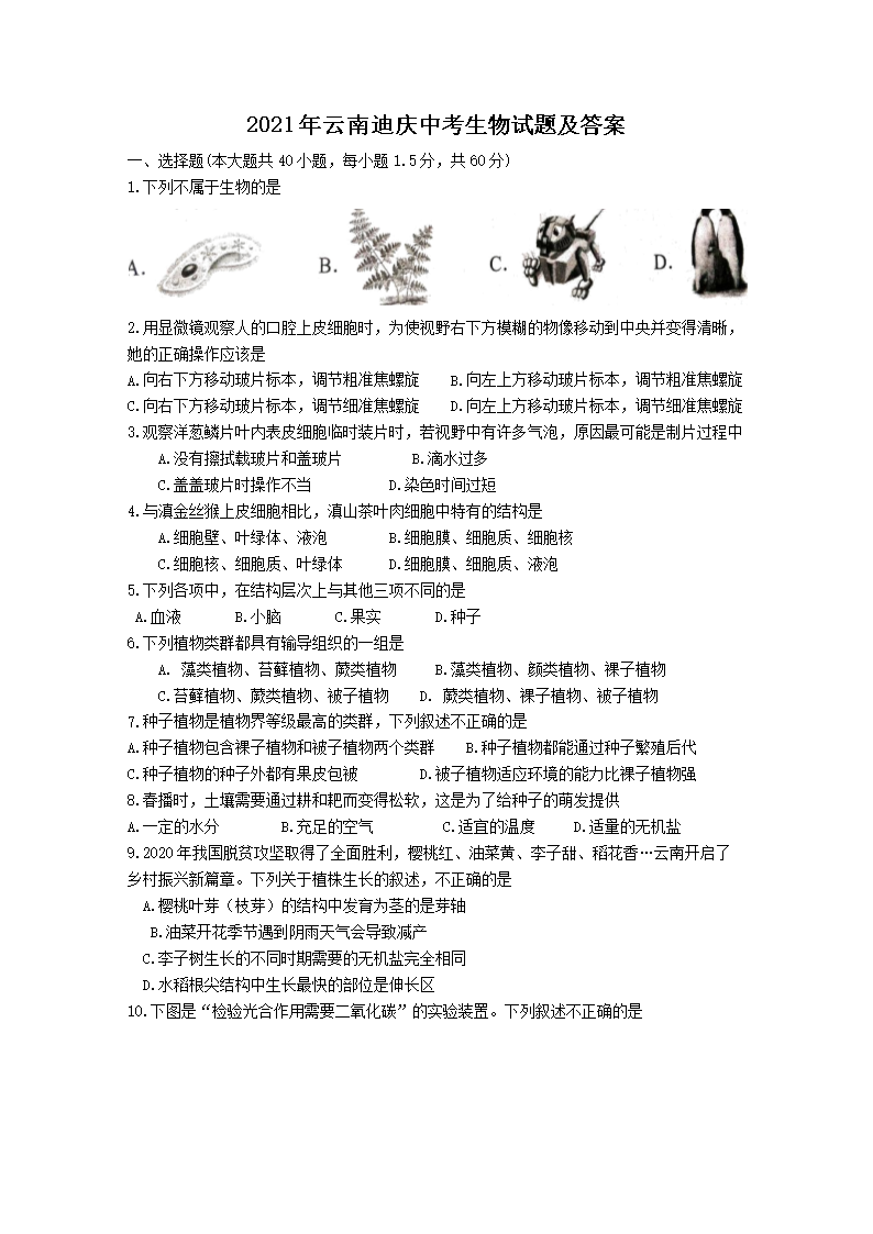 2021�����ϵ����п��������⼰��