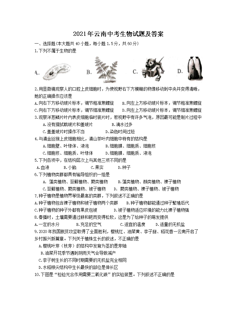 2021�������п��������⼰��