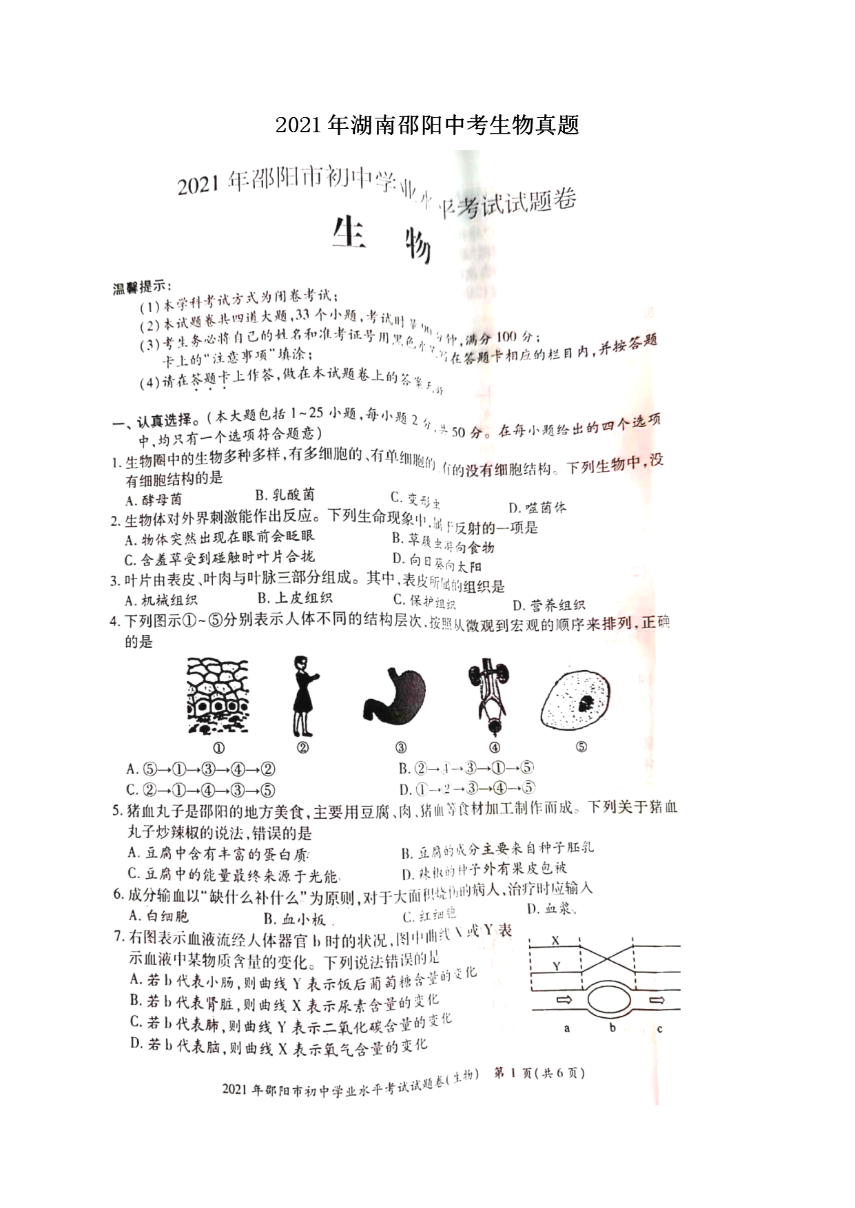 2021����������п���������