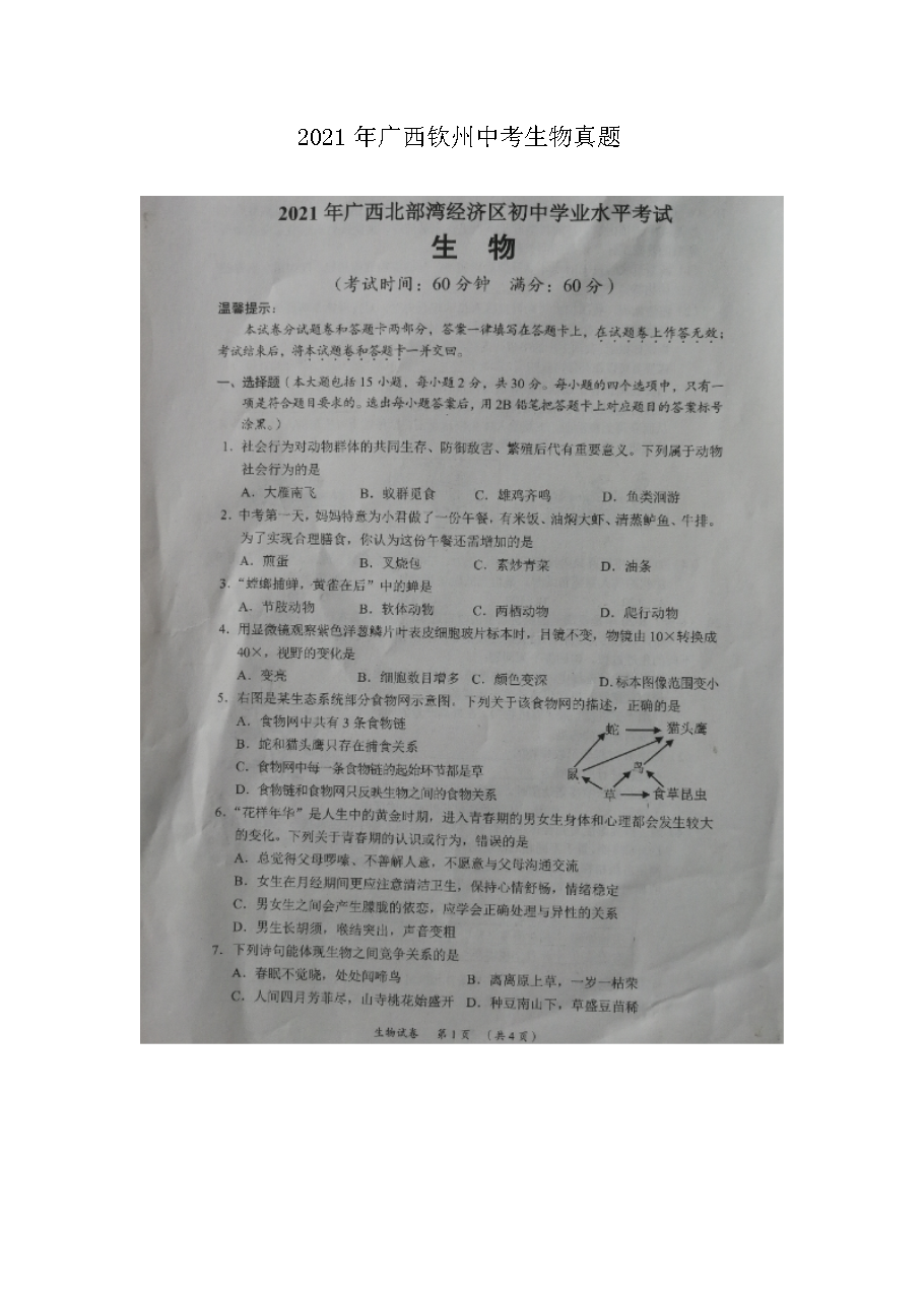 2021����������п���������