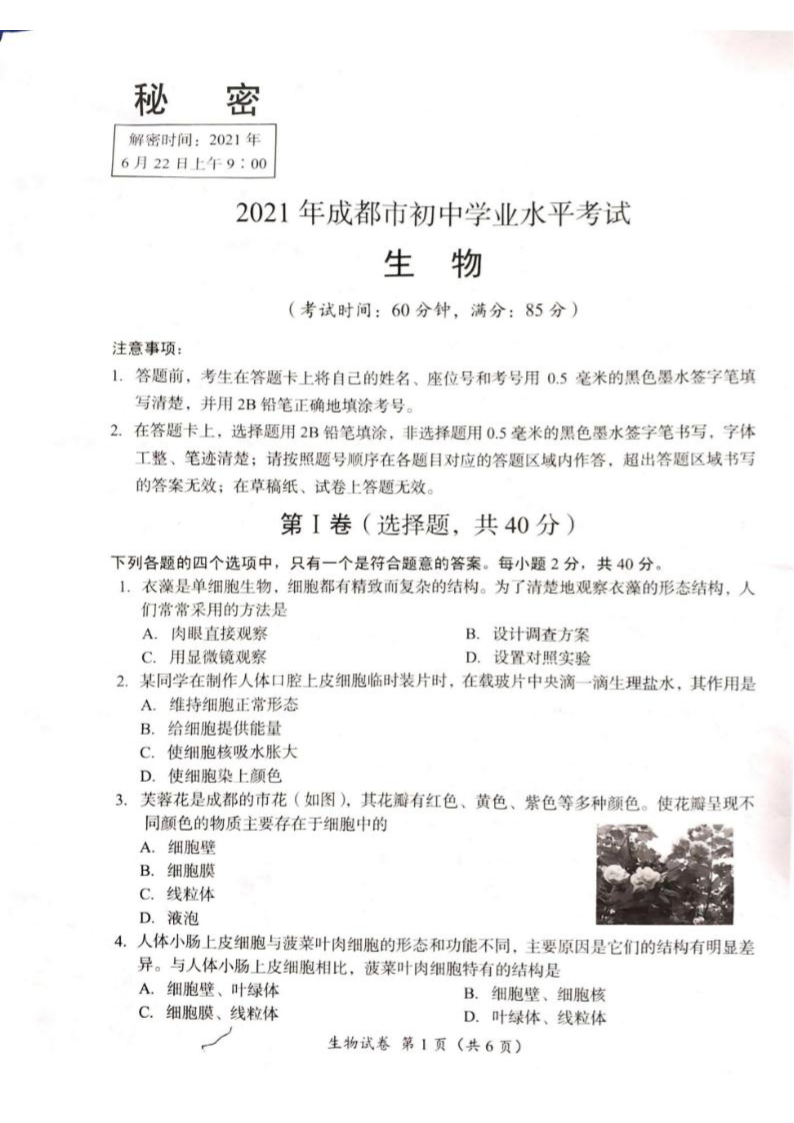 2021���Ĵ��ɶ��п���������