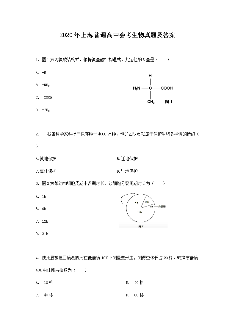 2020���Ϻ���ͨ���лῼ�������⼰��