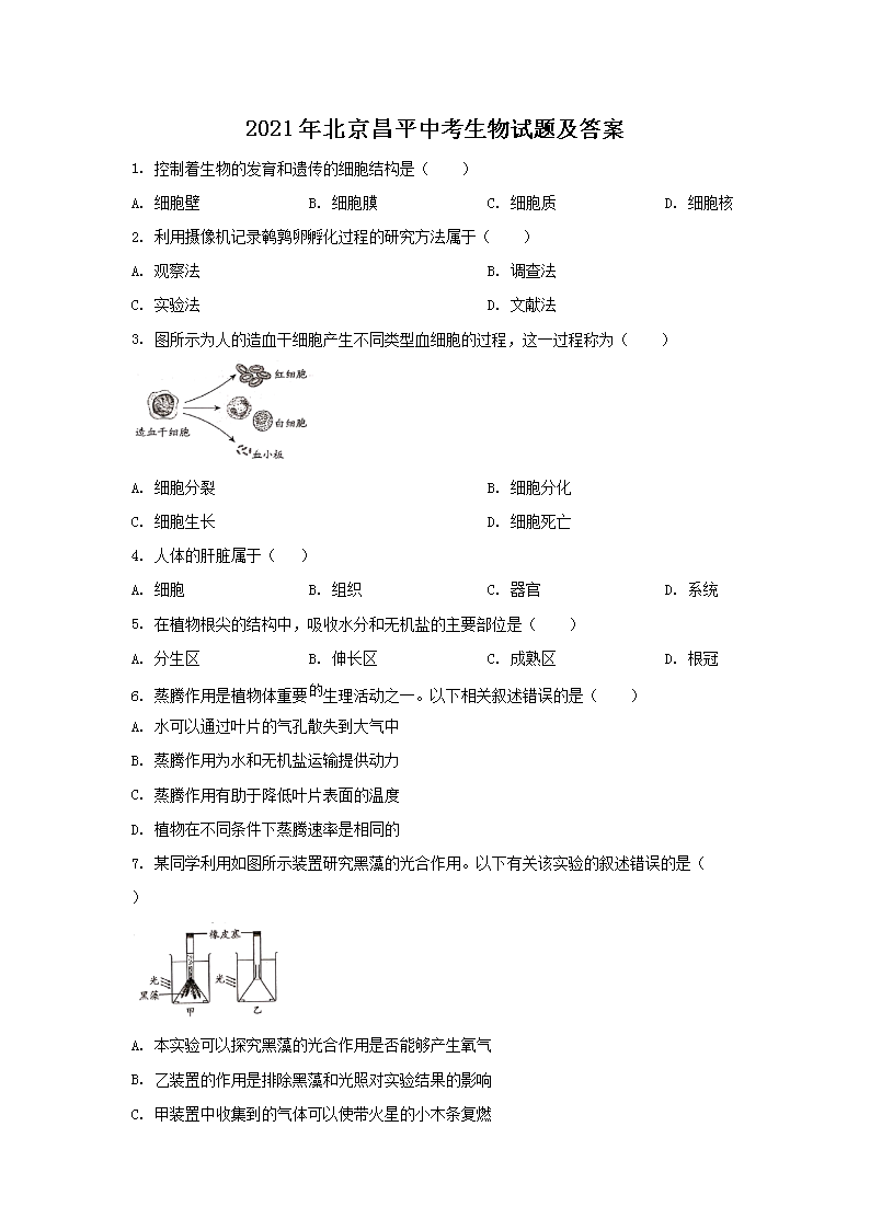 2021�걱����ƽ�п��������⼰��