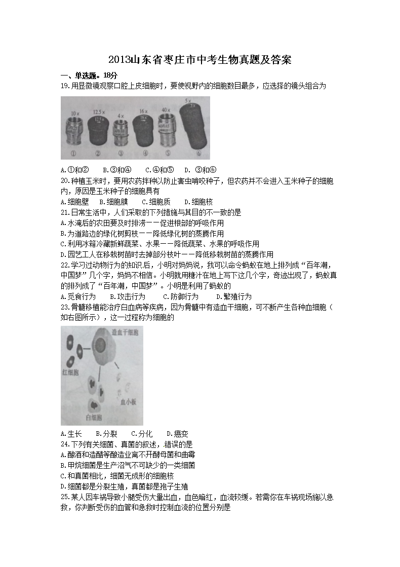 2013ɽ��ʡ��ׯ���п��������⼰��