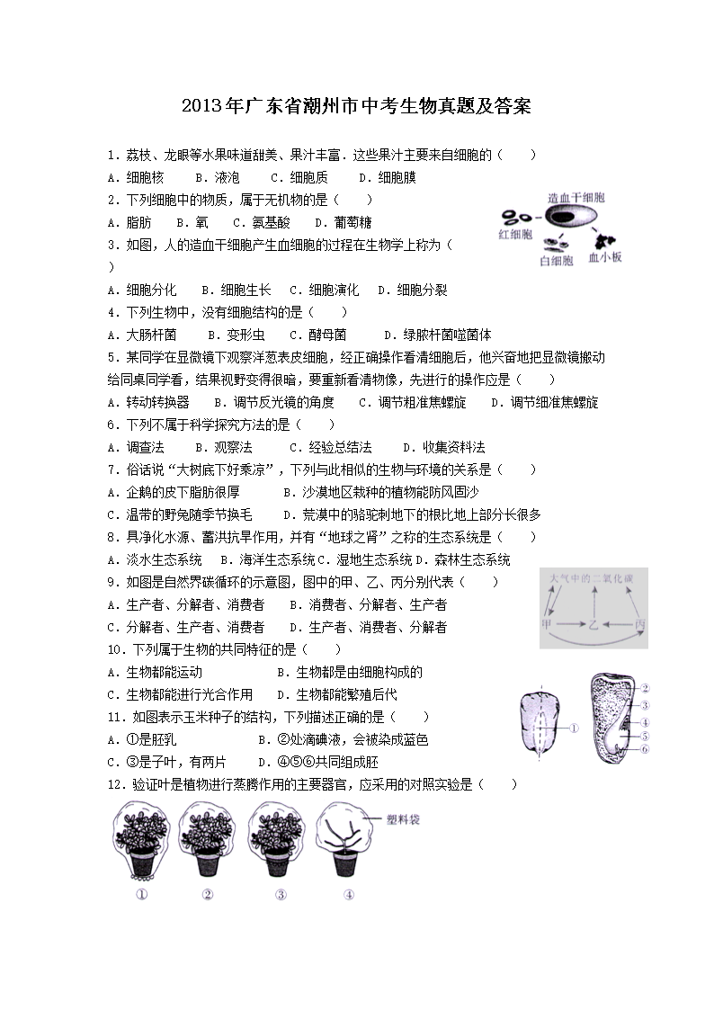 2013��㶫ʡ�������п��������⼰��