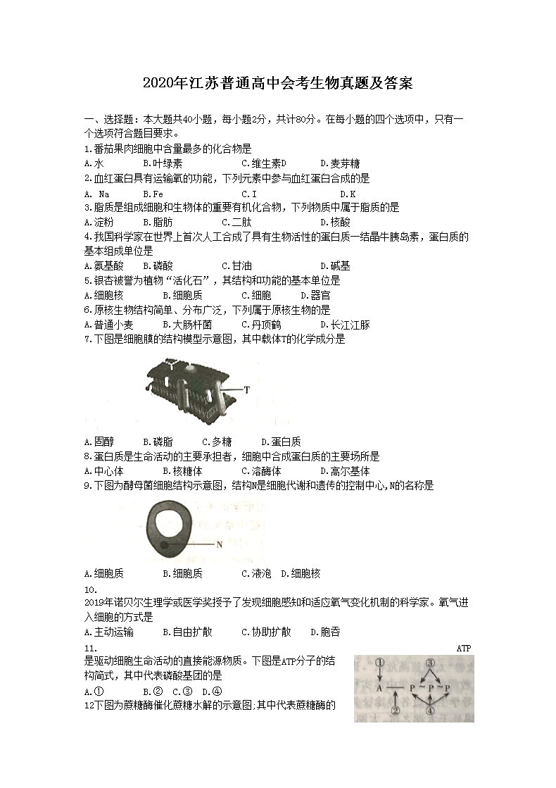 2020�꽭����ͨ���лῼ�������⼰��