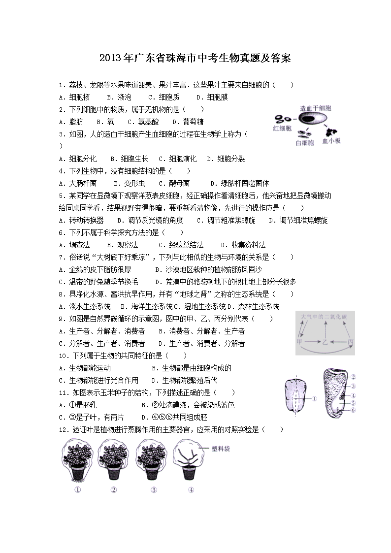 2013��㶫ʡ�麣���п��������⼰��