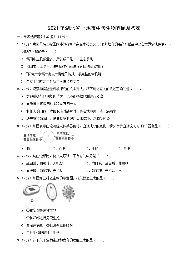 2021�����ʡʮ�����п��������⼰��