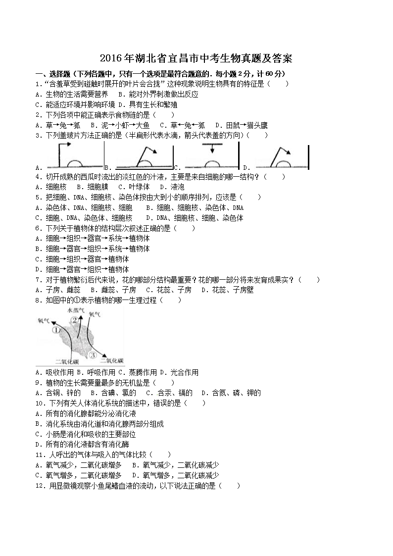 2016�����ʡ�˲����п��������⼰��