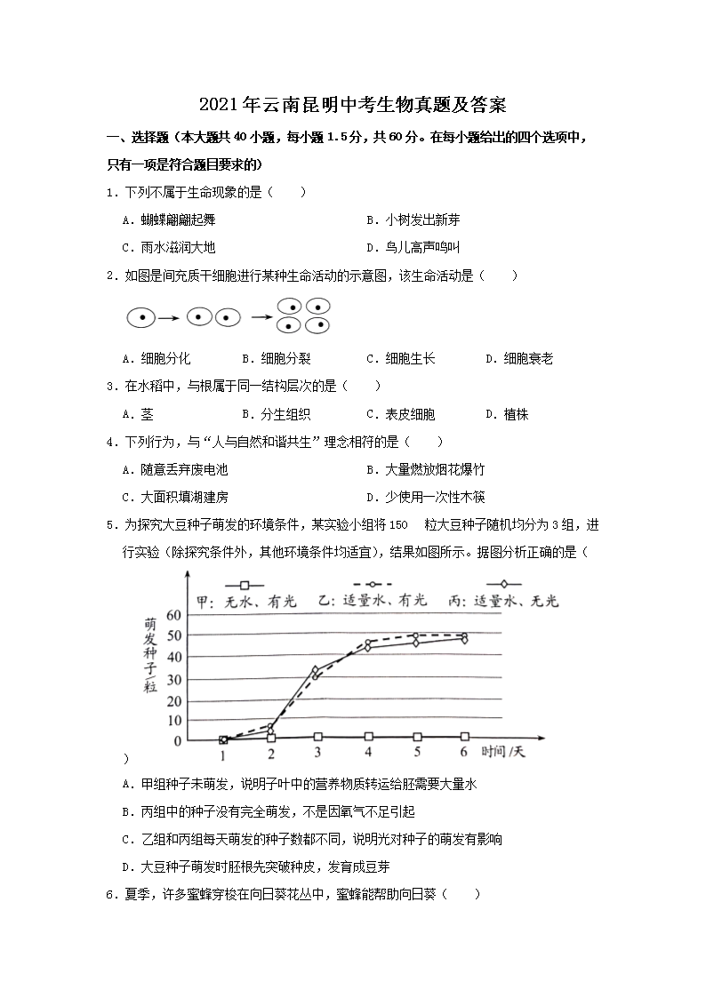 2021�����������п��������⼰��